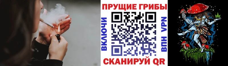 Галлюциногенные грибы Cubensis Вуктыл